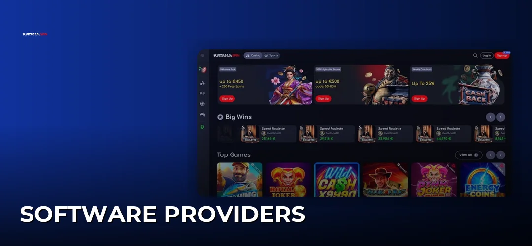 Software providers